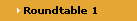 Roundtable 1